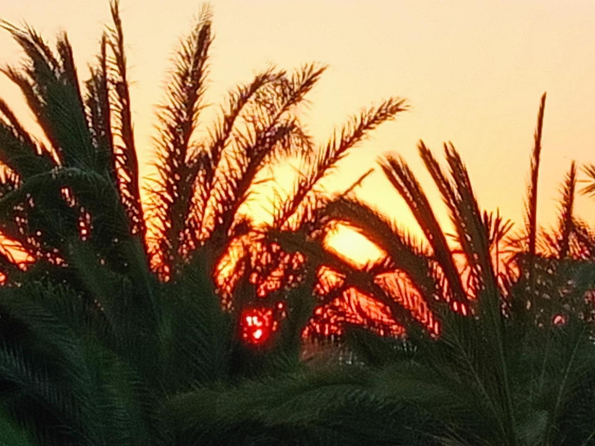 مبيت وإفطار مزرايا Le Patio De Mezraya المظهر الخارجي الصورة